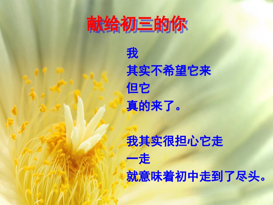 励志班会课件《我的梦想会开花》_第2页