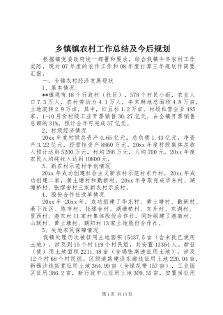 乡镇镇农村工作总结及今后规划 