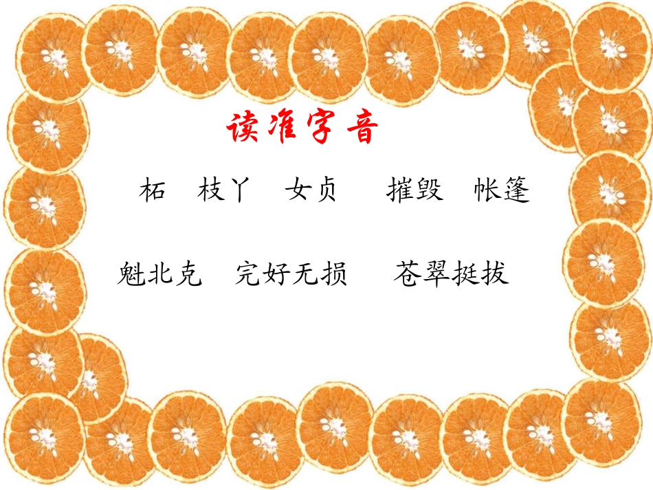 山谷中的谜底2PPT_第3页