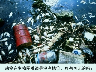 第一节-动物在自然界中的作用