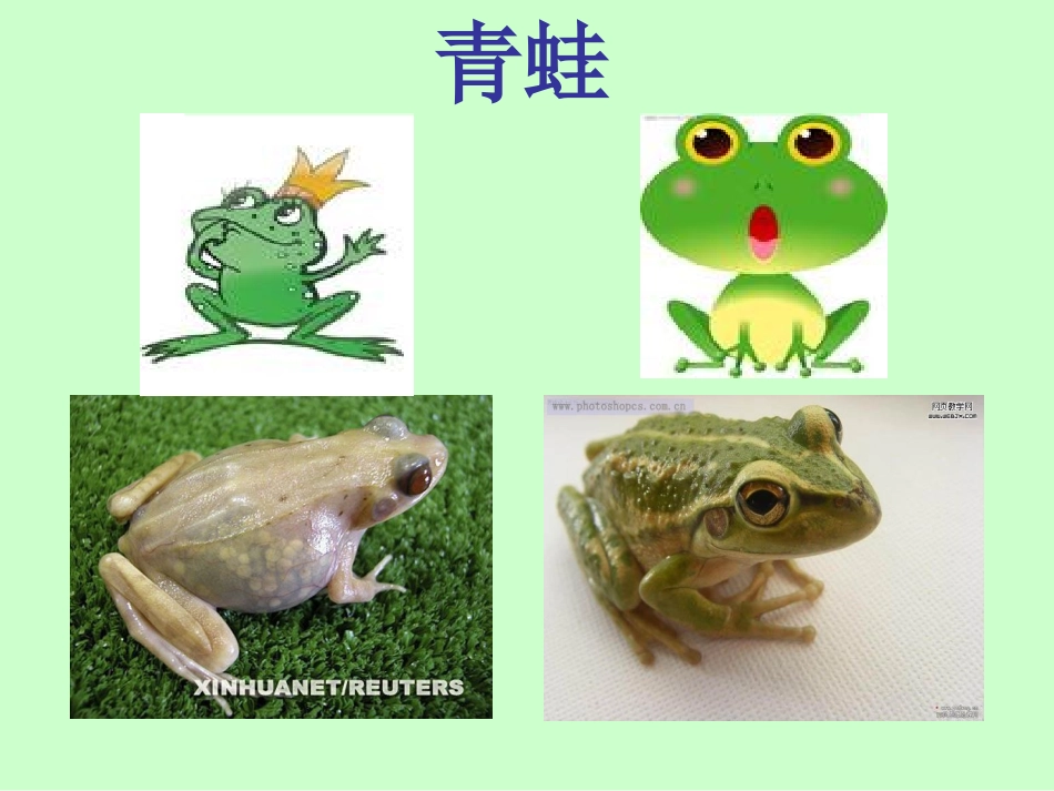 保护庄稼好卫兵课件_第2页