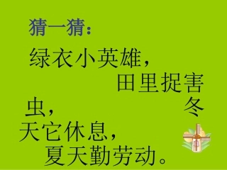 保护庄稼好卫兵课件