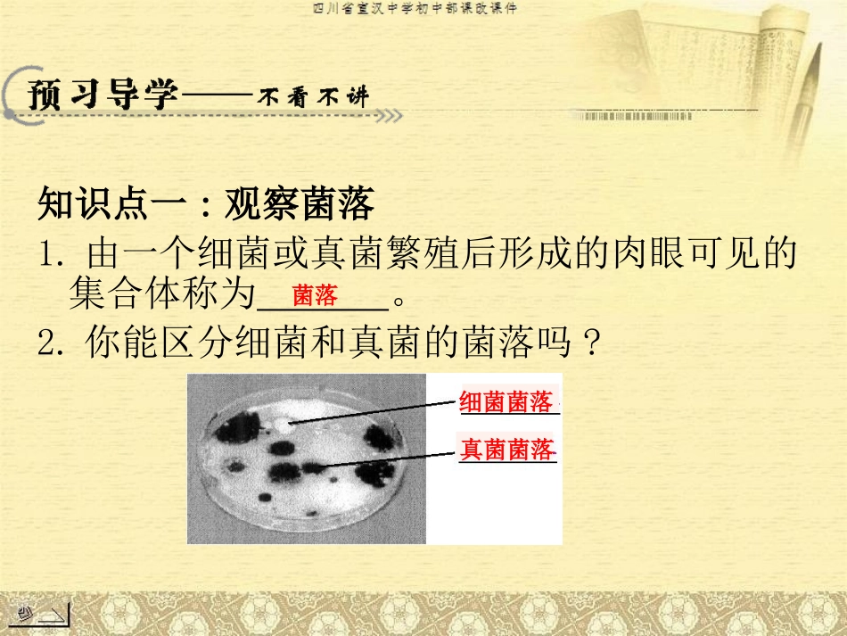 第一节　细菌和真菌的分布（课改课件）_第3页