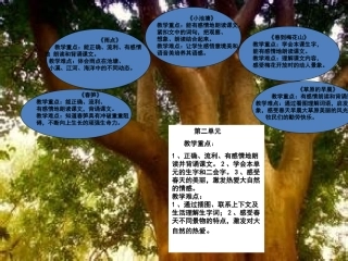 一下第二单元知识树