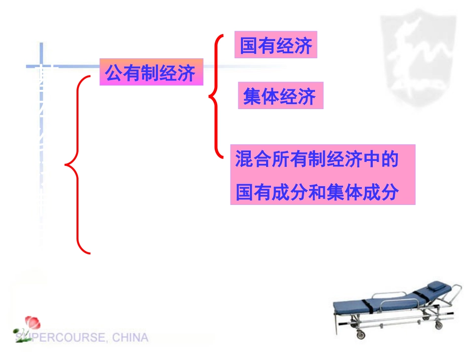 湘教版八年级下册第一单元生活在社会主义国家里第二节充满活力的经济制度_第3页