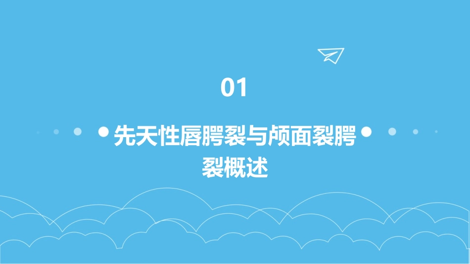 先天性唇腭裂与颅面裂腭裂护理课件_第3页