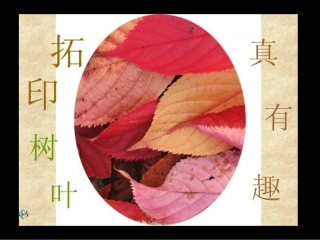 人美版小学二年级美术下册《拓印树叶真有趣》课件)