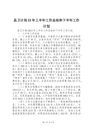 县卫计局XX年上半年工作总结和下半年工作计划 