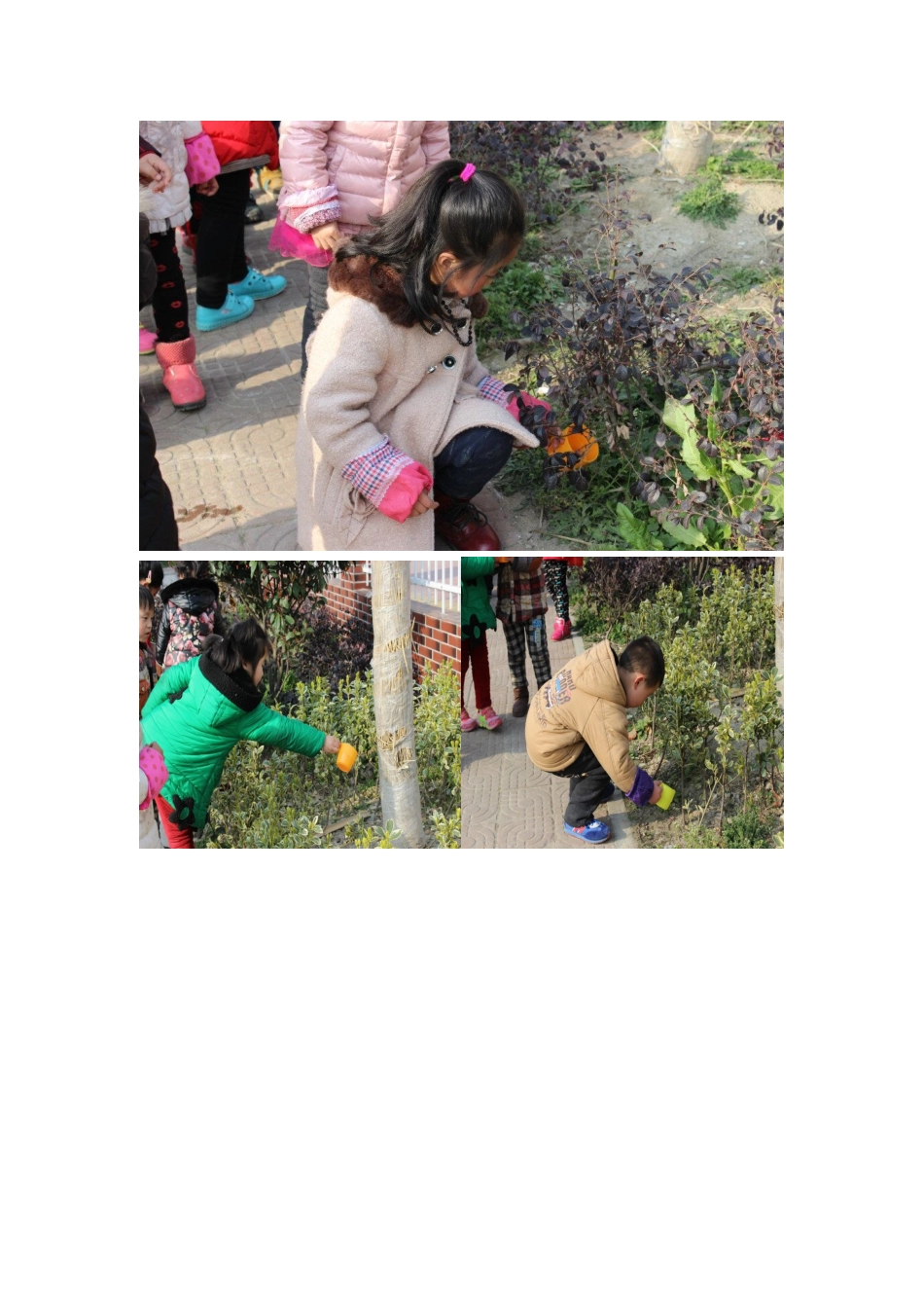 我为小树浇浇水活动方案_第2页