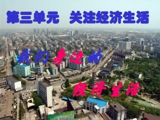 【精品课件】第三单元第一节我们身边的经济生活