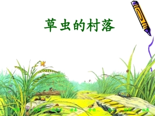 第三课《草虫的村落》