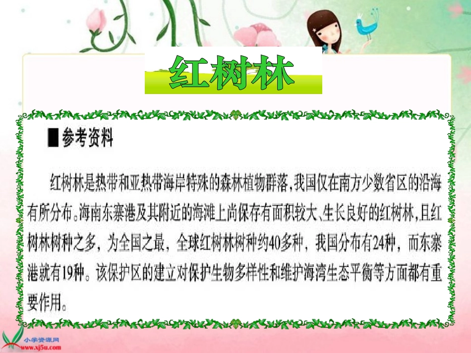 北师大版五年级语文上册《红树林》PPT课件_第2页