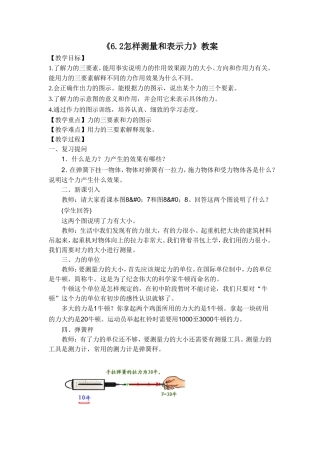 《6.2怎样测量和表示力》教案8