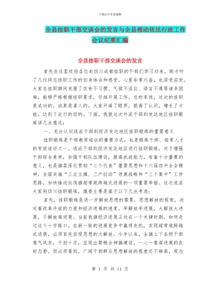 全县挂职干部交谈会的发言与全县推进依法行政工作会议纪要汇编