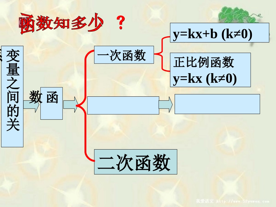 沪科版九年级数学上211二次函数课件_第3页