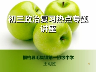 初三政治复习专题