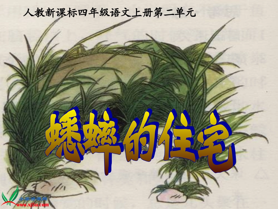 (人教新课标)四年级语文上册课件_蟋蟀的住宅_3_第2页