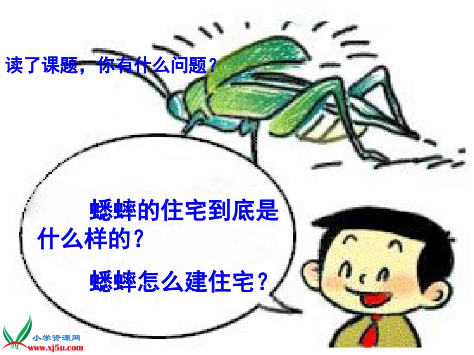 (人教新课标)四年级语文上册课件_蟋蟀的住宅_3_第3页