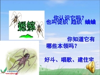(人教新课标)四年级语文上册课件_蟋蟀的住宅_3