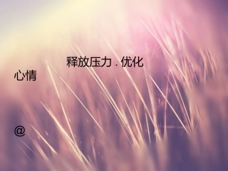 优化情绪，释放压力