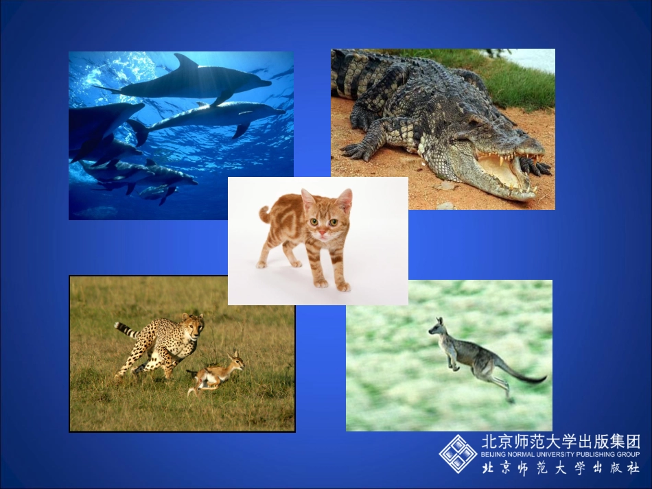 动物运动的形成（第一课时）_第1页