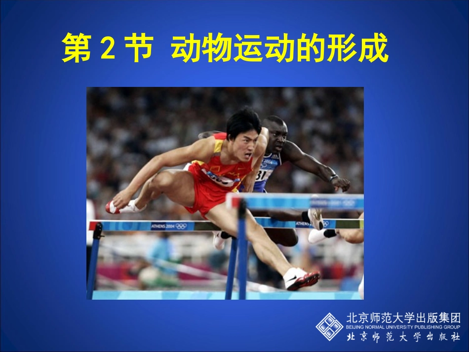 动物运动的形成（第一课时）_第3页