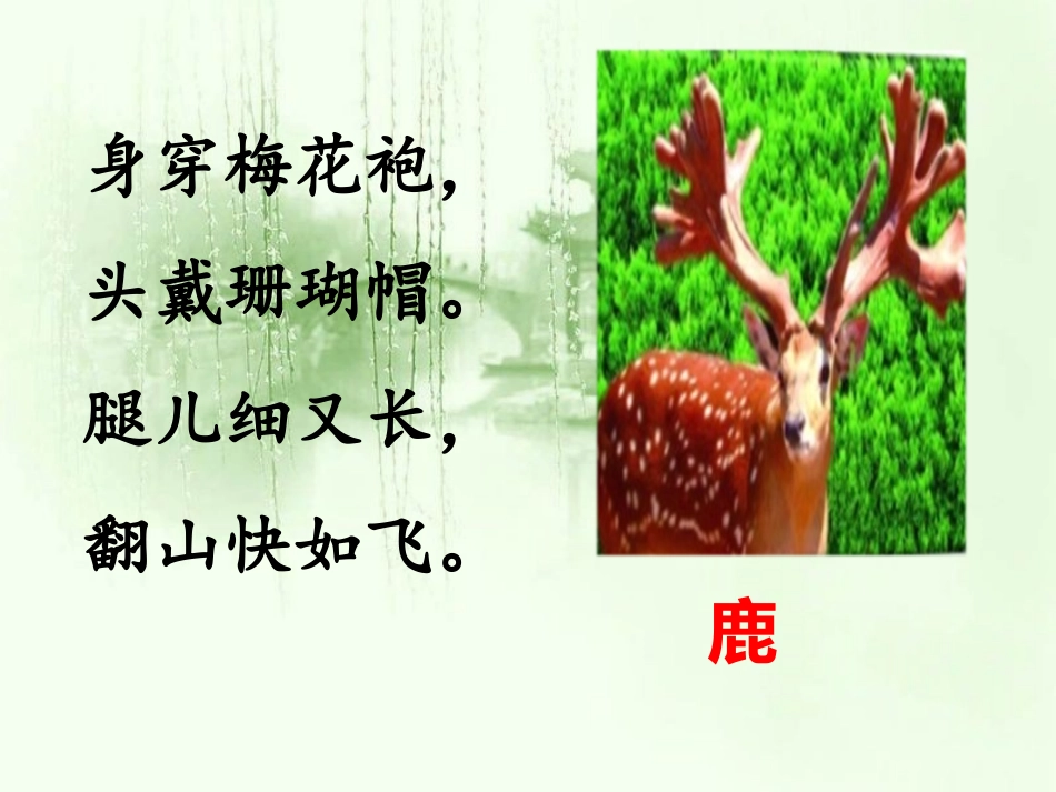 7鹿角和鹿腿_第1页