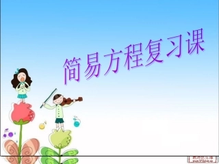 讲课简易方程复习课[1]