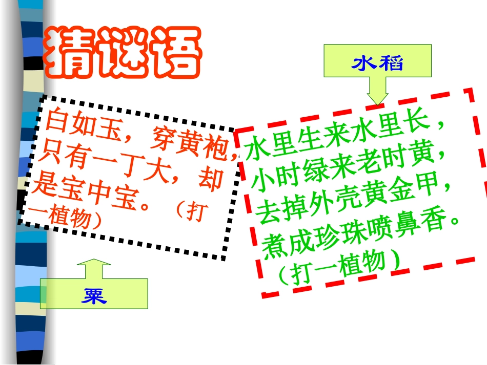 星罗棋布的部落_第1页