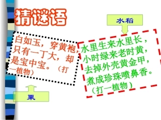 星罗棋布的部落