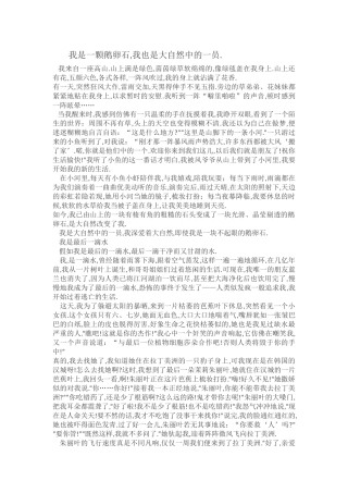 我是一颗鹅卵石