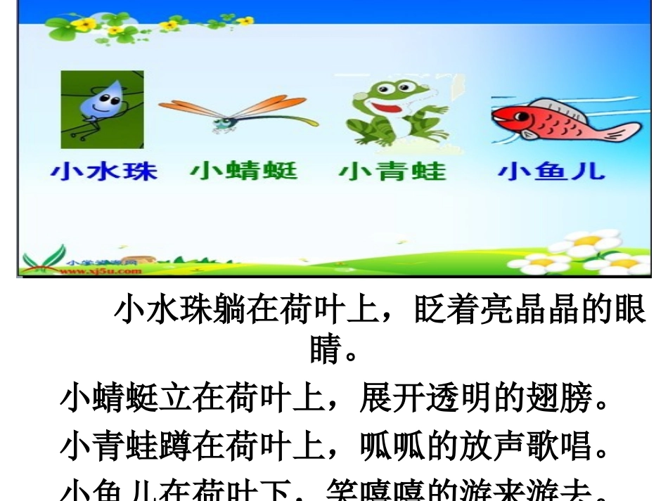 荷叶圆圆课件2_第3页