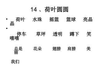 荷叶圆圆课件2