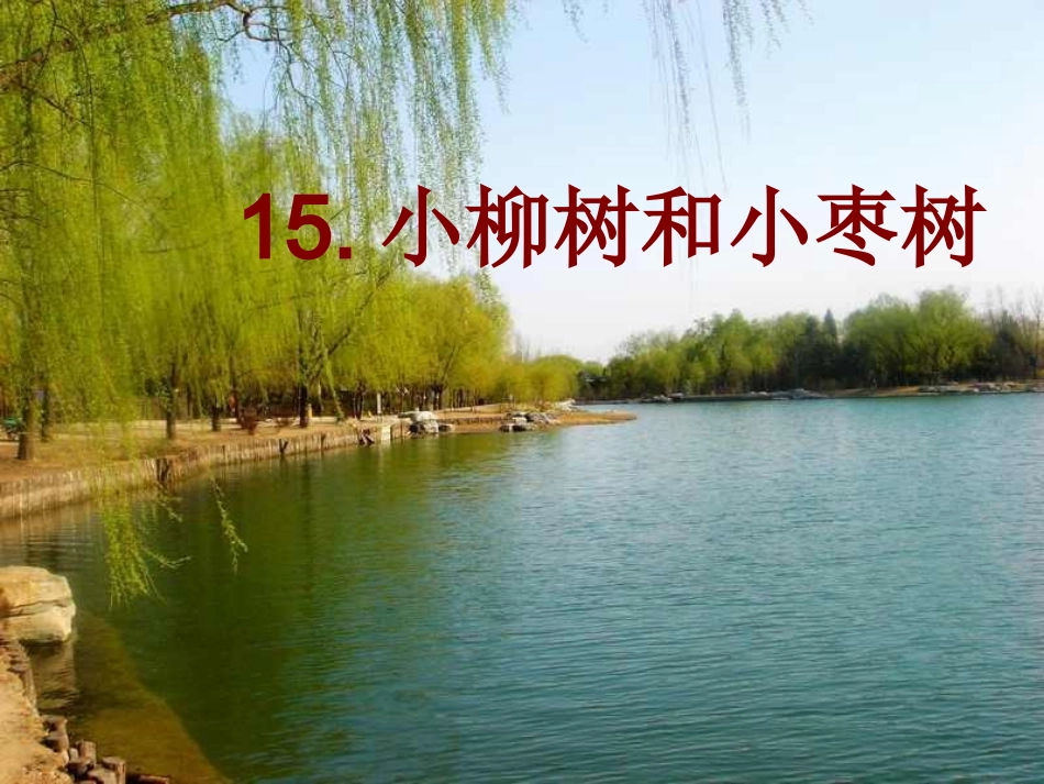 《小柳树和小枣树》课件7_第1页