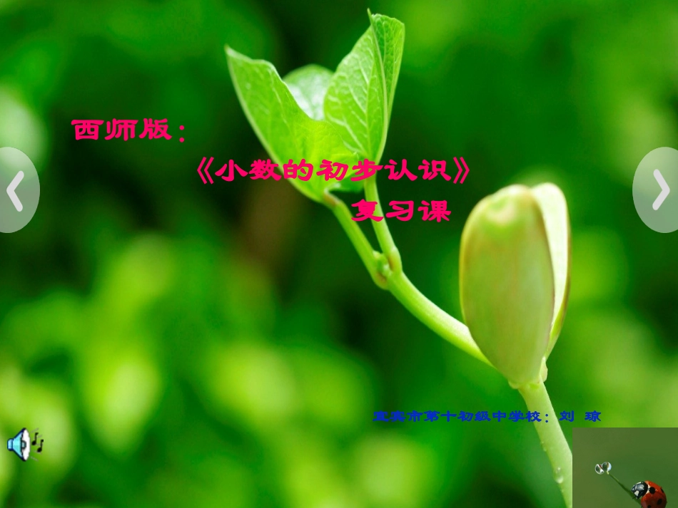 小数的初步认识复习课1_第1页