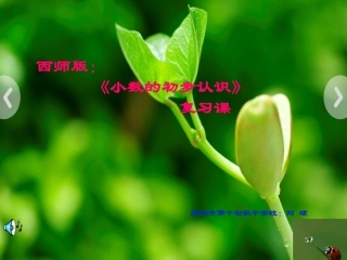 小数的初步认识复习课1