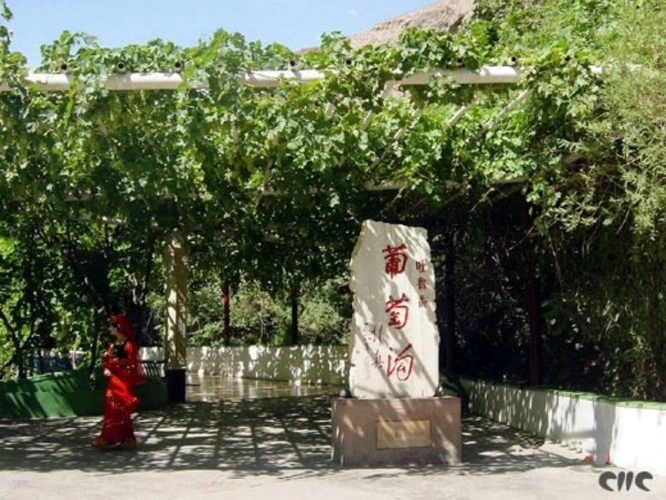 葡萄沟2(修改稿)_第1页