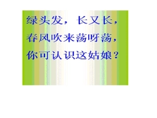 小柳树和小枣树课文