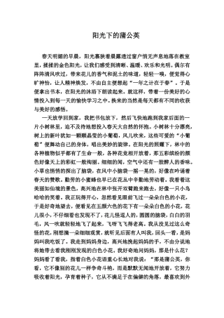 阳光下的蒲公英