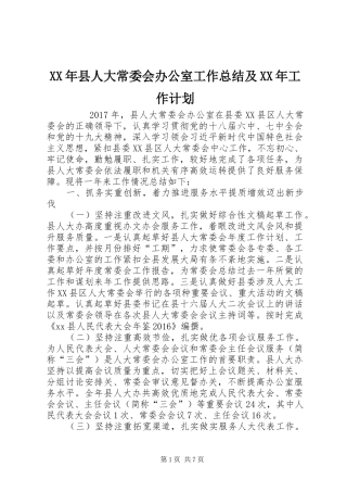 XX年县人大常委会办公室工作总结及XX年工作计划 