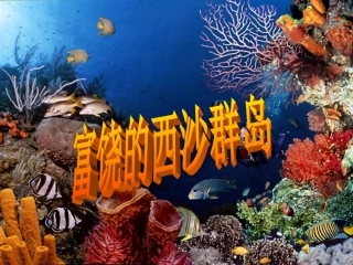 富饶的西沙群岛自动播放2
