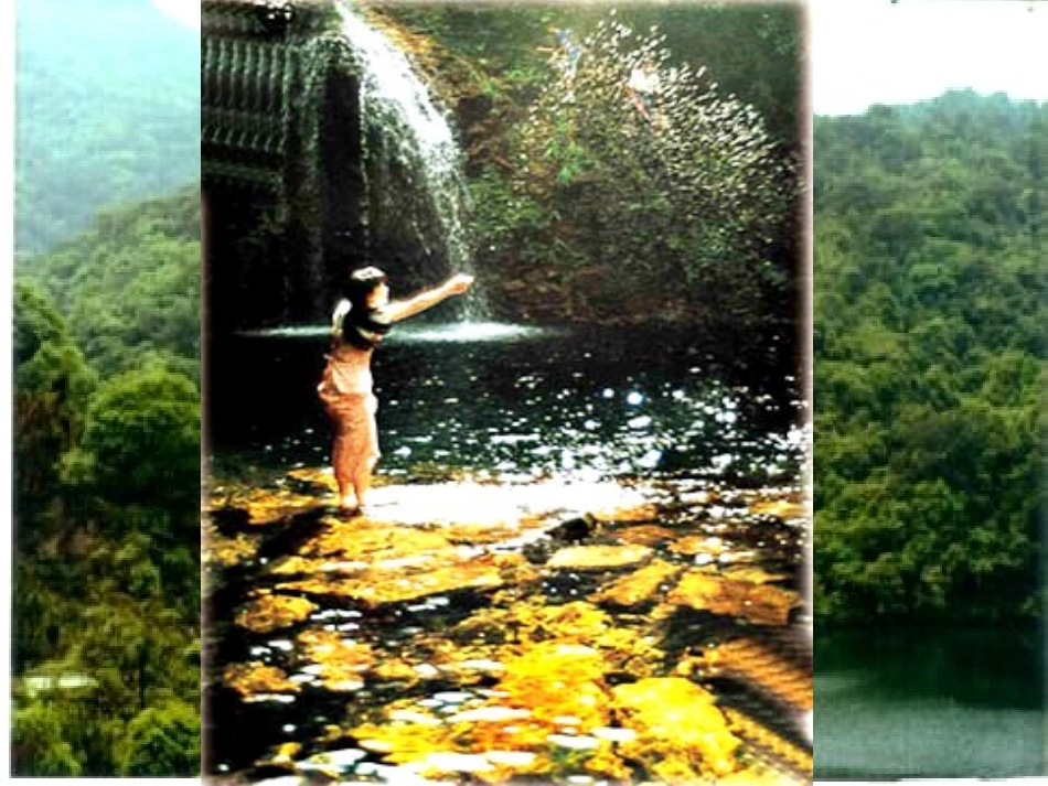 鼎湖山听泉 (4)_第2页