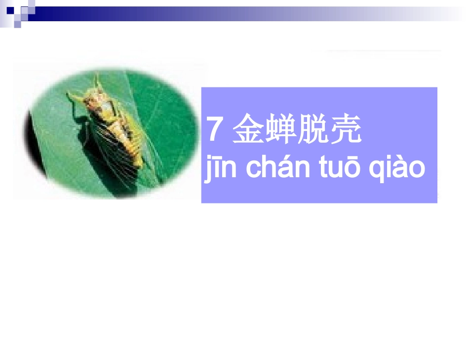 金蝉脱壳课件_第1页