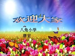 小数的初步认识