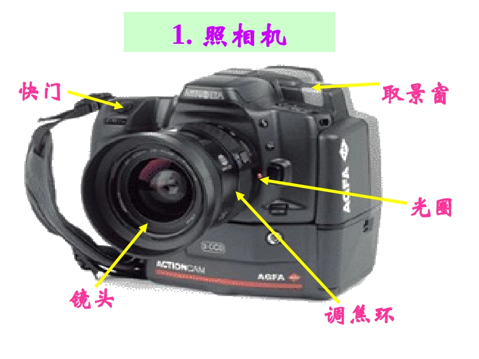 初二物理生活中的透镜(上课用）_第3页