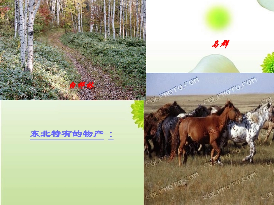 (部编)初中语文人教2011课标版七年级下册人教版七年语文下册《土地的誓言》课件_第3页