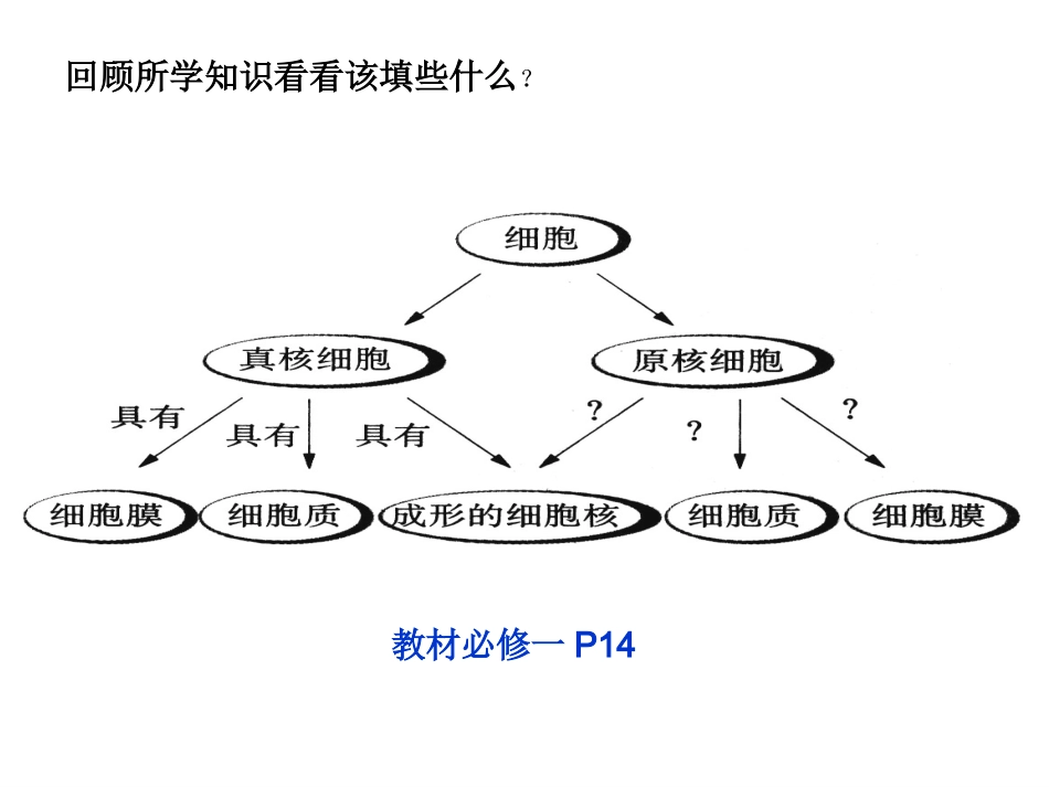 概念图的复习_第2页