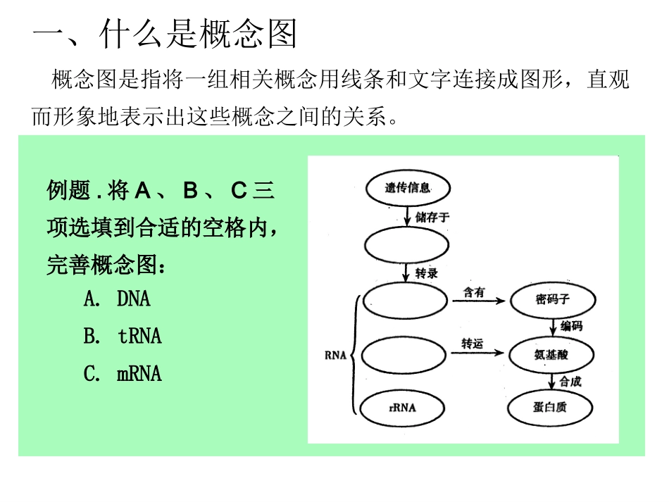 概念图的复习_第3页