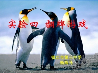 数学实验翻牌游戏杨高马