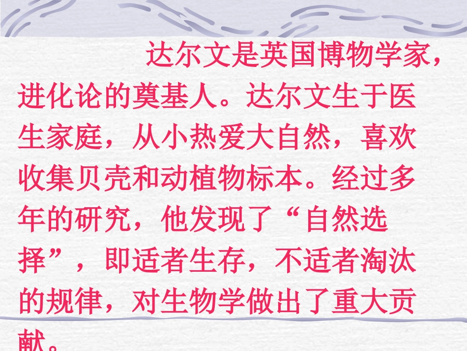 有趣的发现第一课时_第2页